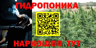 бошки Партизанск