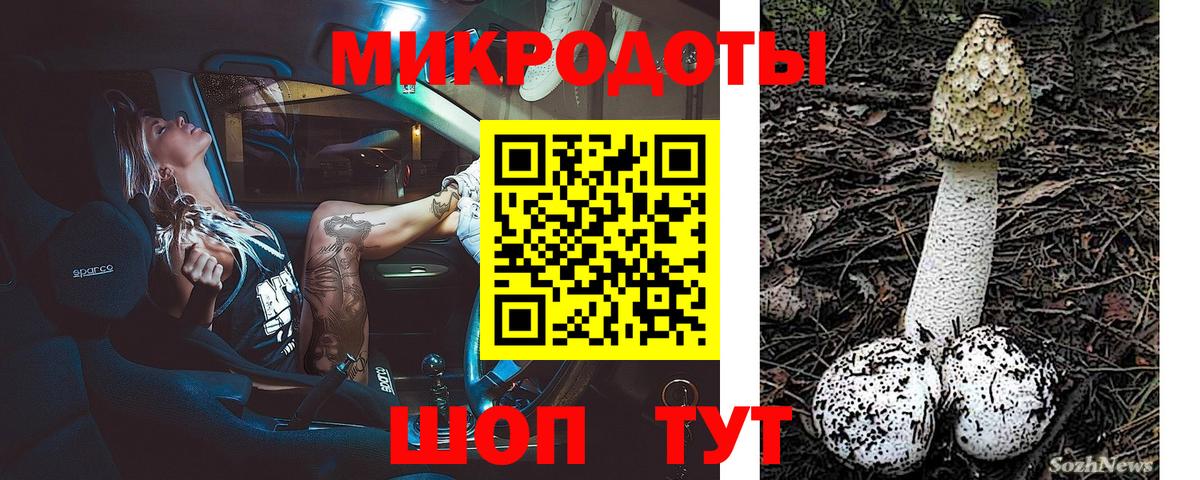 Тихорецк  Псилоцибиновые грибы Magic Shrooms  Псилоцибиновые грибы Cubensis  Вход с VPN 