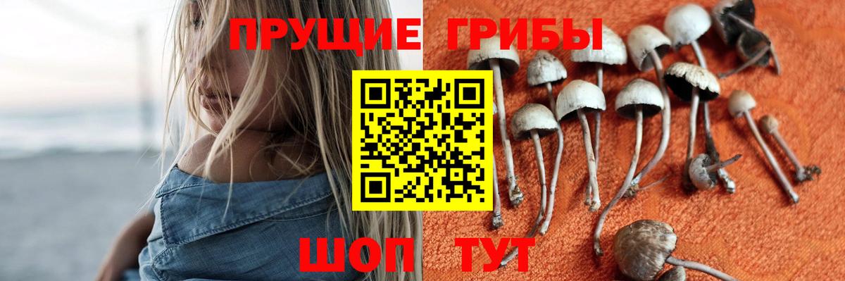 Псилоцибиновые грибы прущие грибы Тихорецк